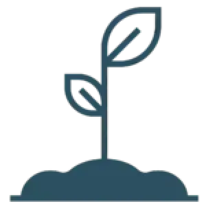 flower sprouting icon