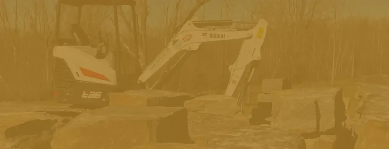 bobcat with yellow overlay
