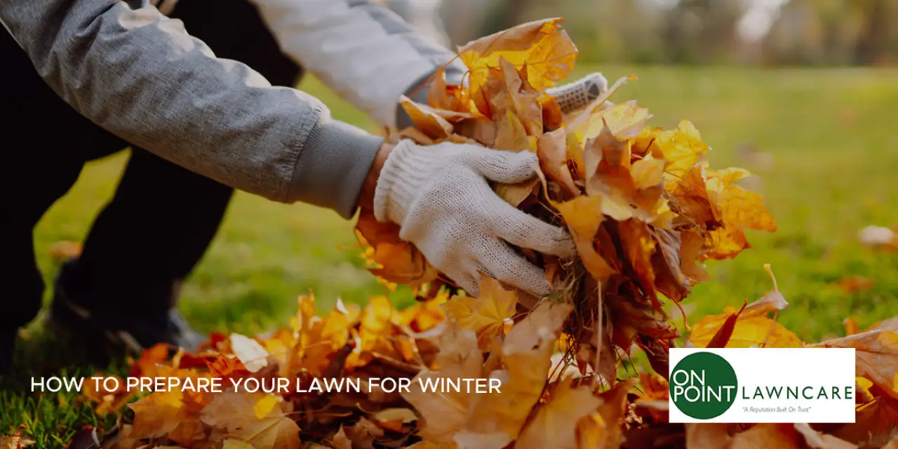 How to Prepare Your Lawn for Winter