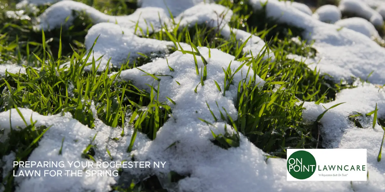 Preparing Your Rochester NY Lawn for the Spring