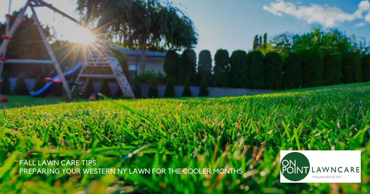 Fall Lawn Care Tips: Preparing Your Western NY Lawn for the Cooler Months