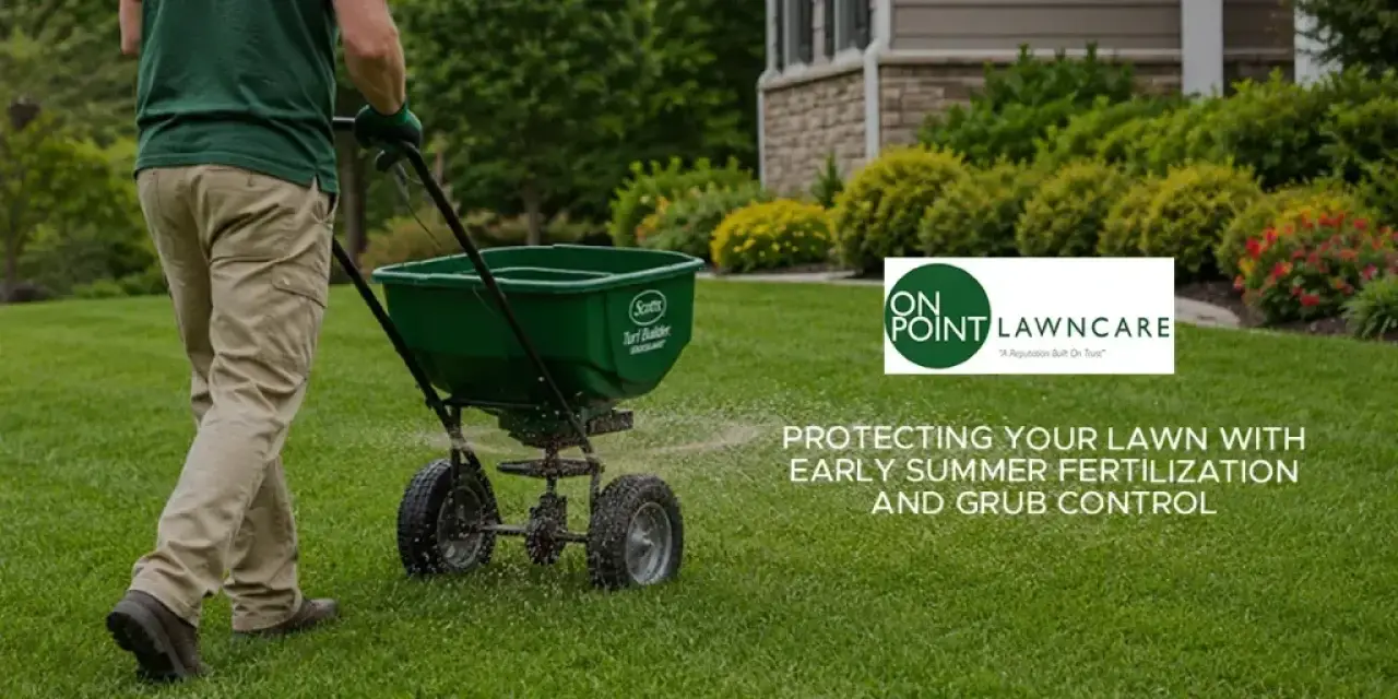 Protecting Your Lawn with Early Summer Fertilization and Grub Control