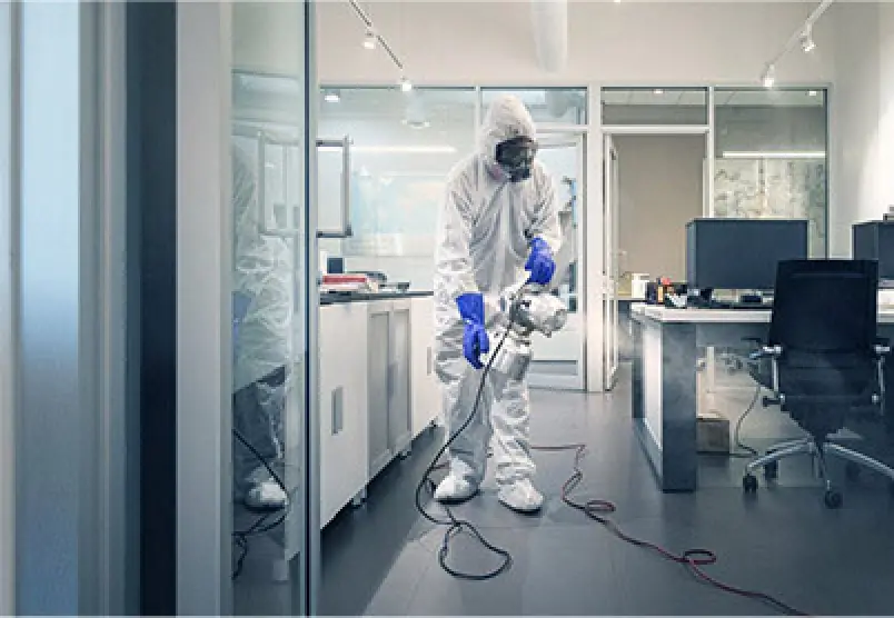 covid-cleaning