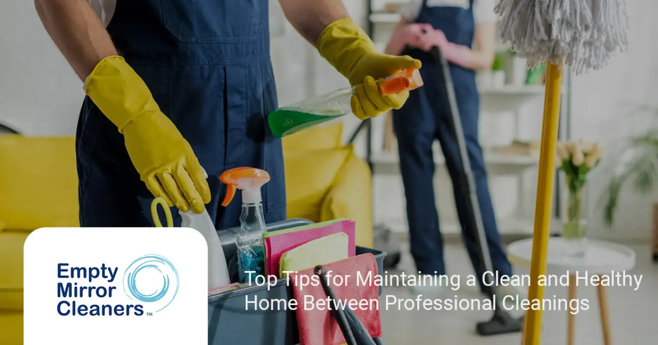 Top Tips for Maintaining a Clean and Healthy Home Between Professional Cleanings