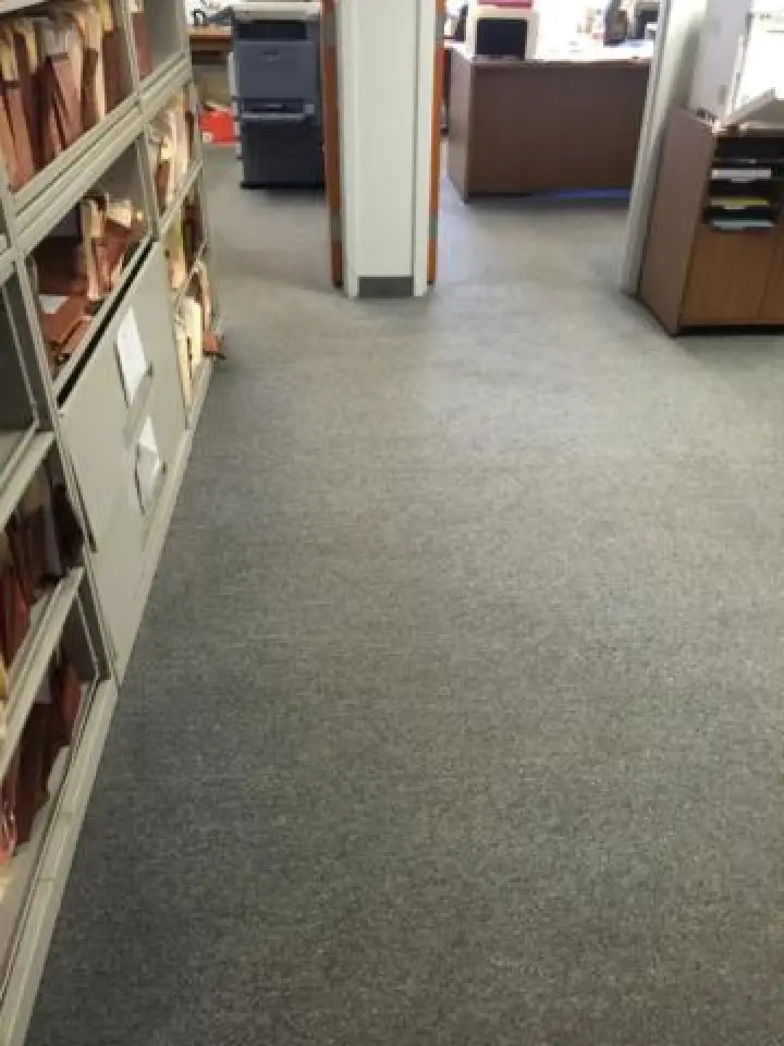 professionally cleaned carpet