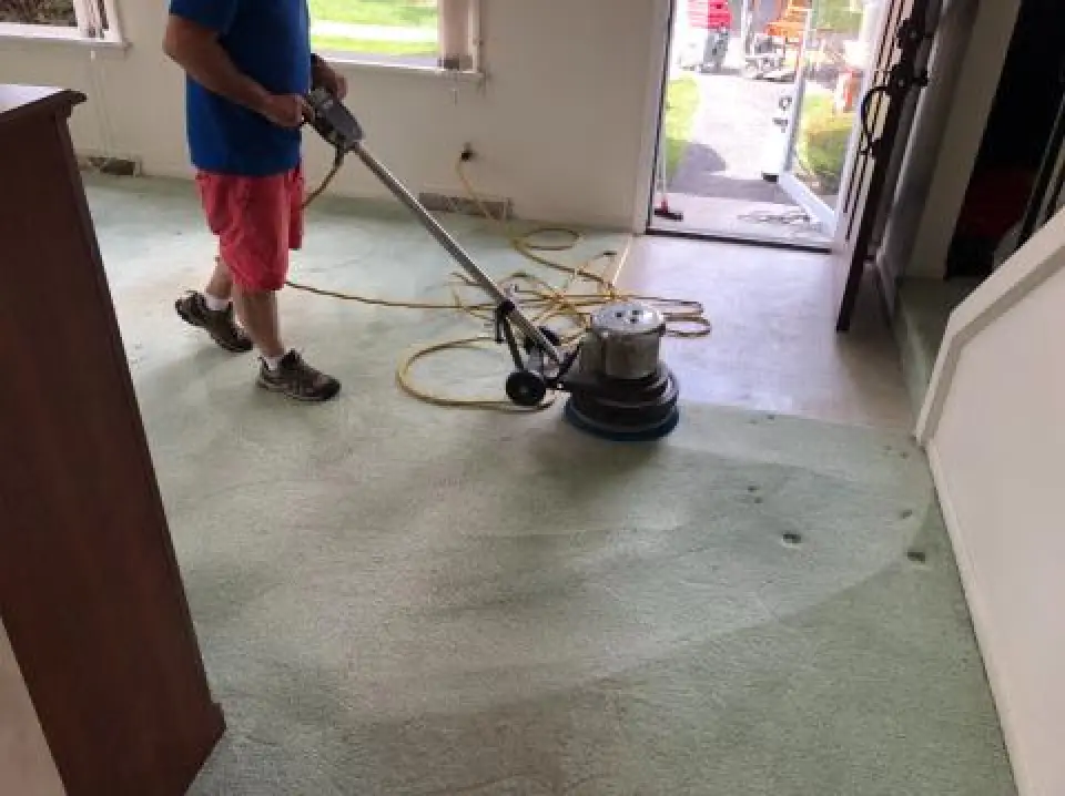 professional carpet cleaning