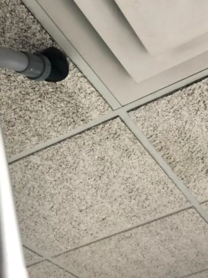 ceiling tiles being professionally cleaned
