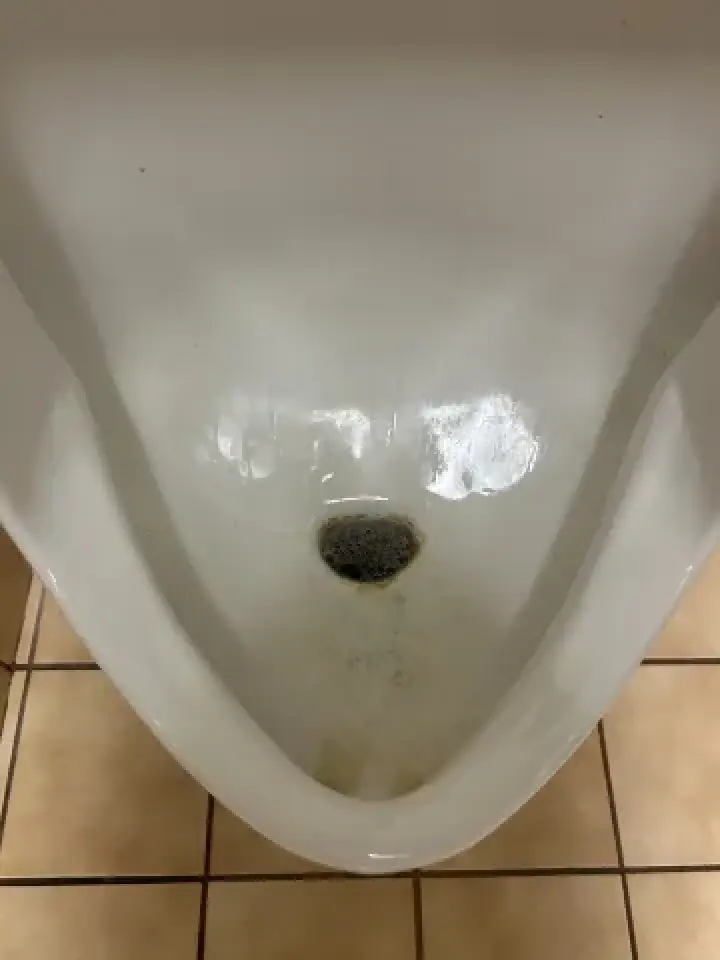 toilet restoration before