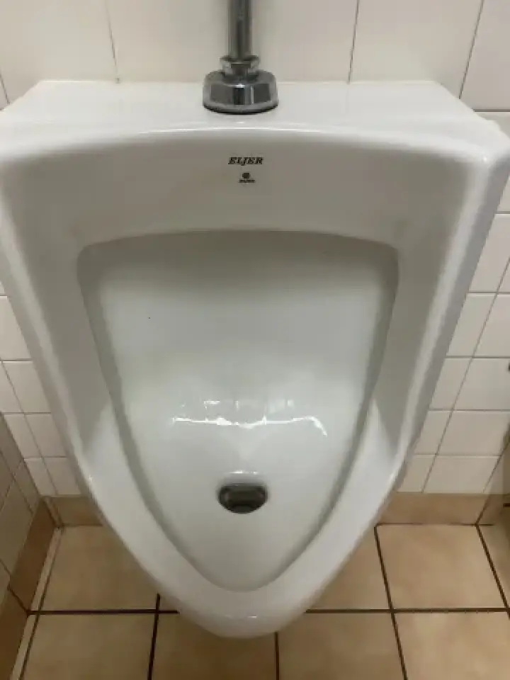 toilet restoration after