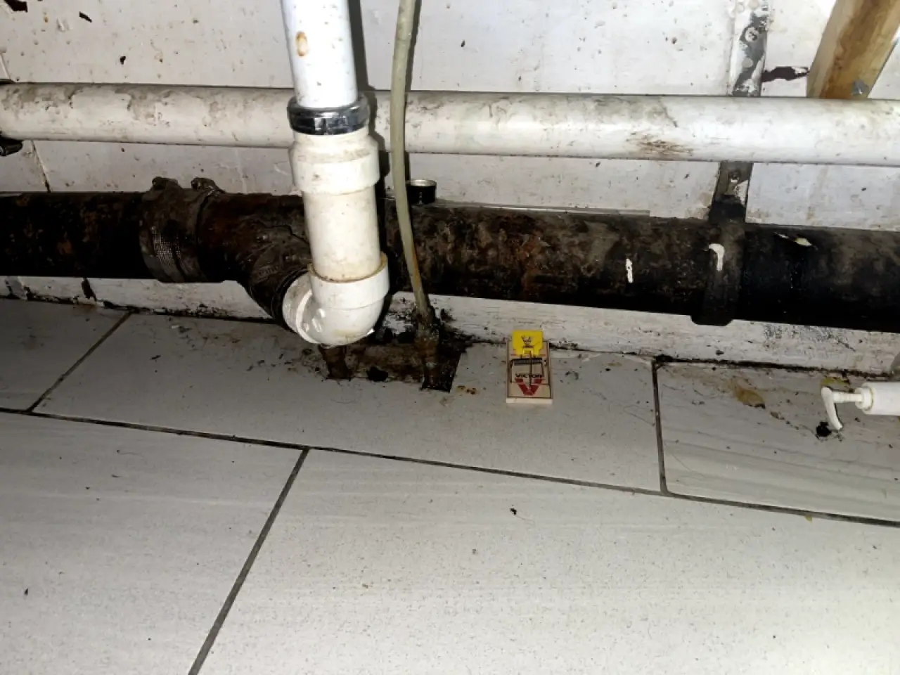 Dust and grime buildup around exposed utility pipes and floor panels.