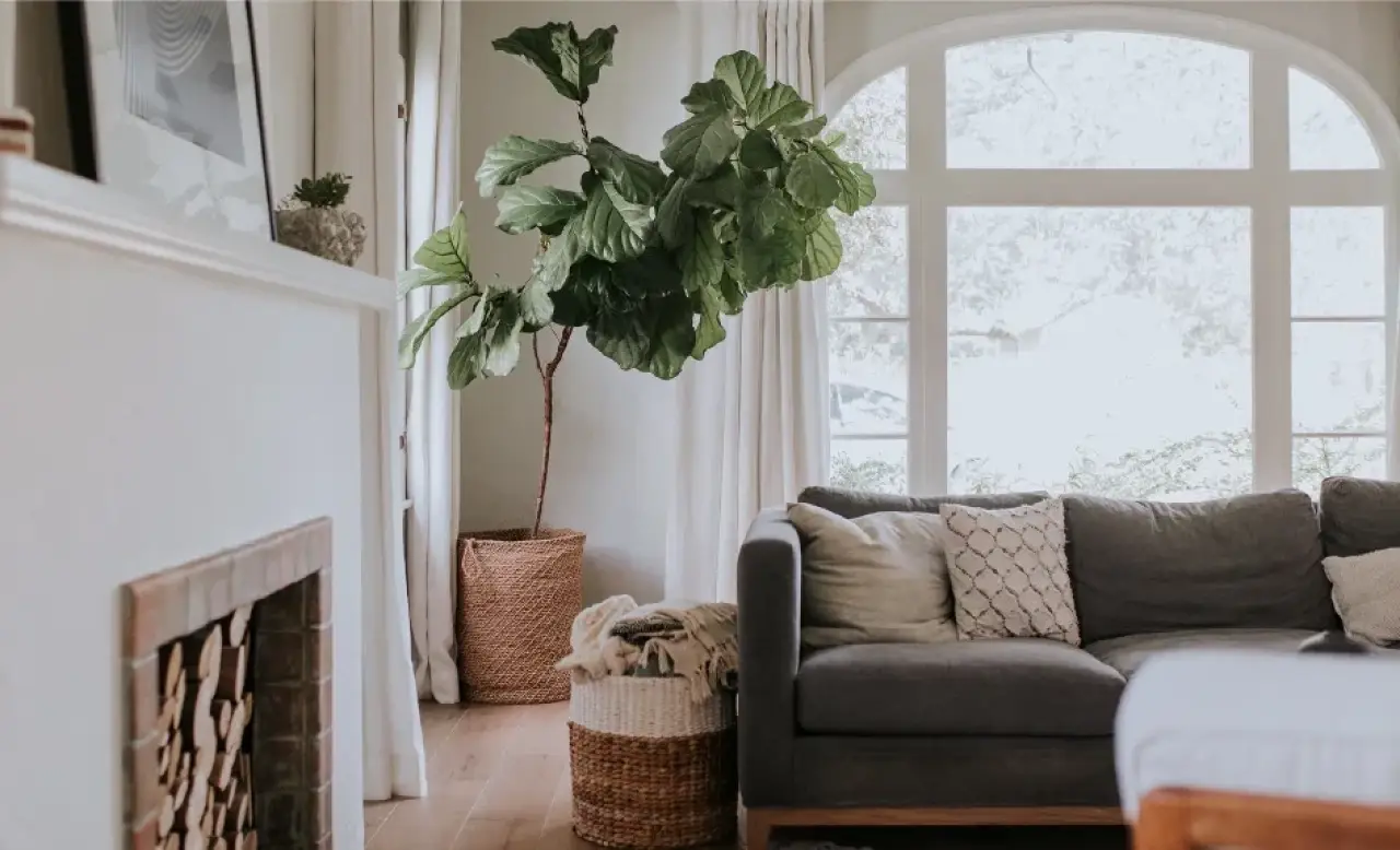 beautifully cleaned living room in bright home