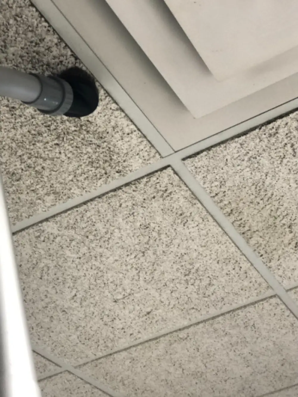 ceiling tiles being professionally cleaned