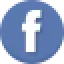 evolution marketing on facebook icon