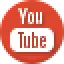 Evolution Marketing YouTube Icon
