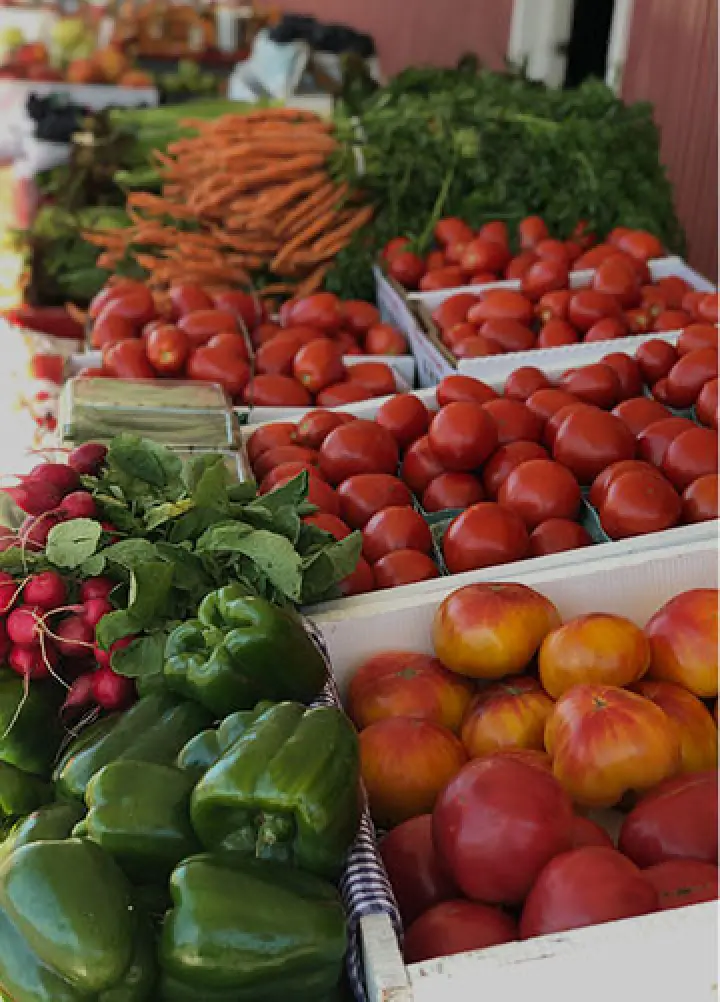 summer photo at powers farm market