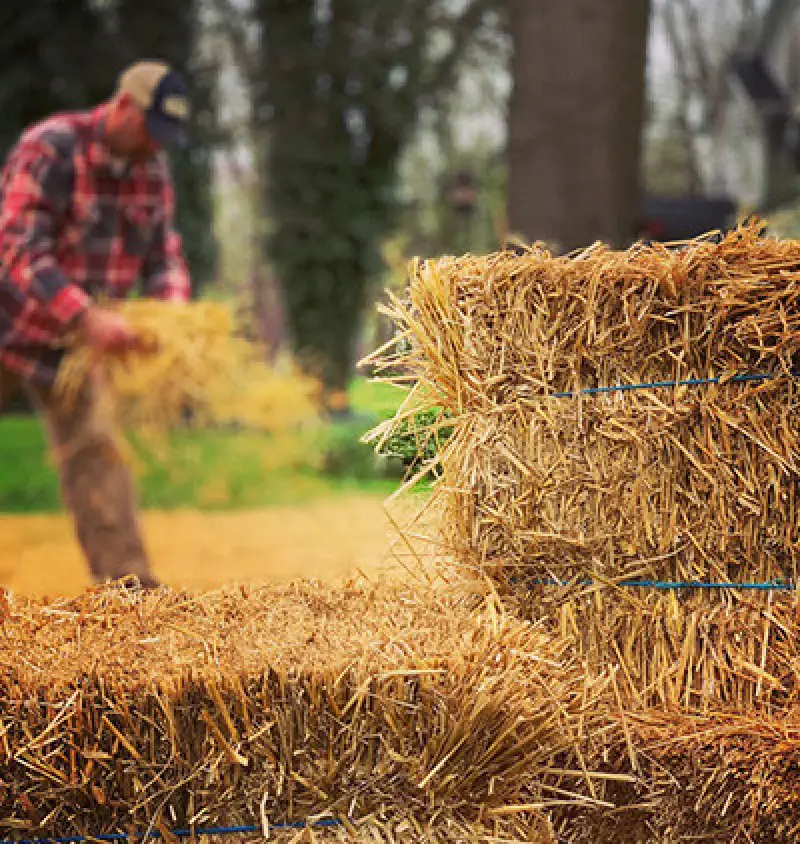 powers farm market imagery