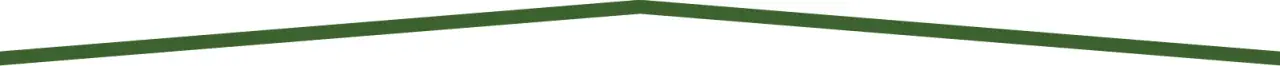 green triangle outline