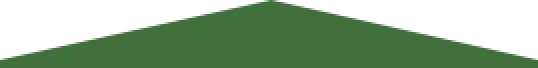 green triangle