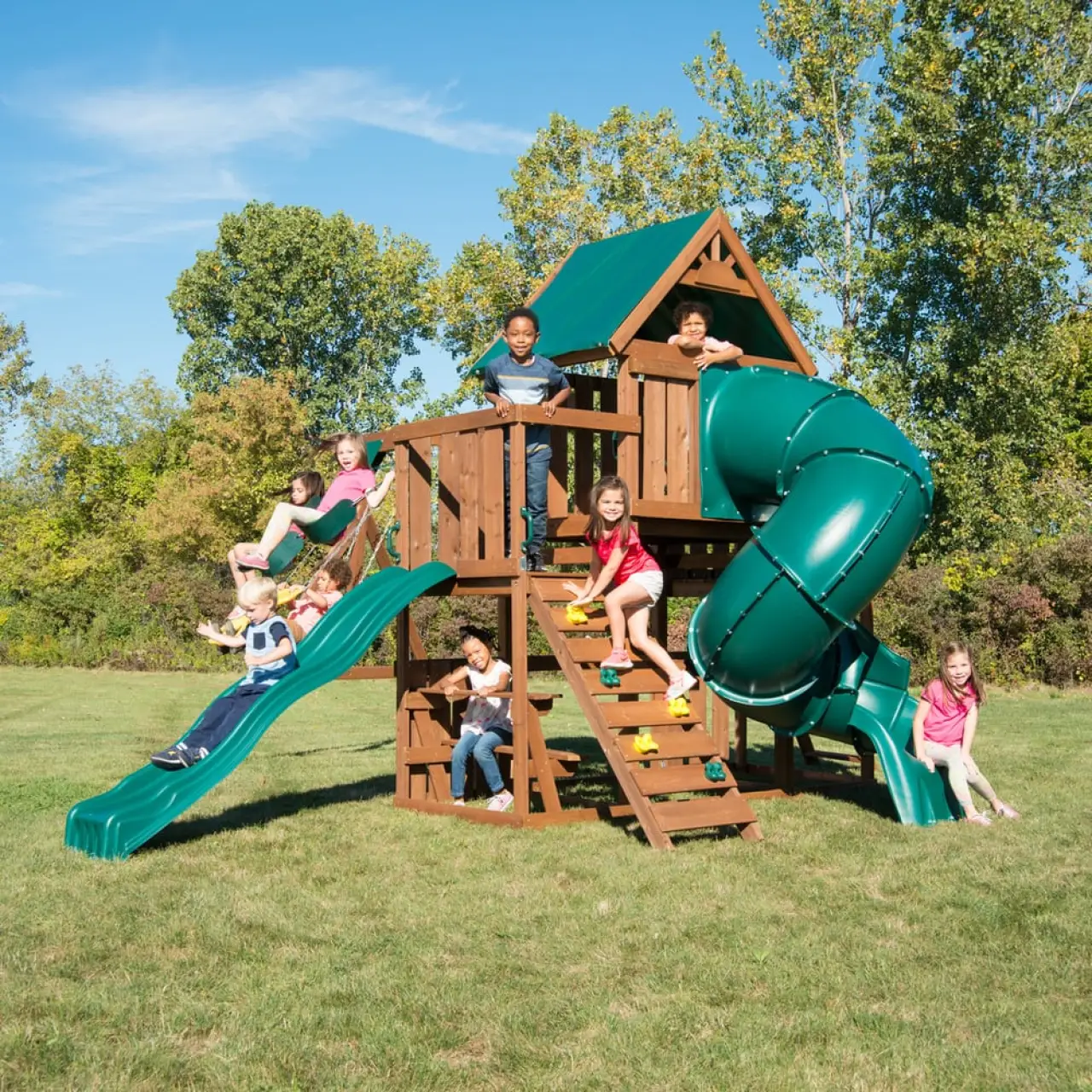 Denali Custom Swing-N-Slide thumbnail
