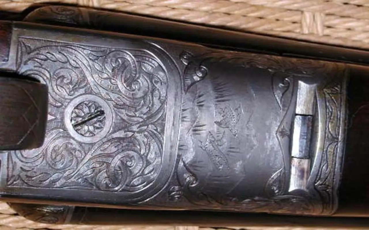Late B Grade Bottom View