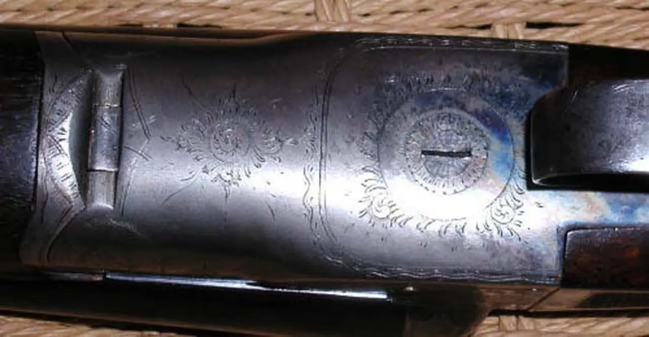 Early B Bottom View