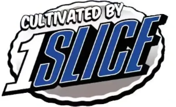 1 Slice