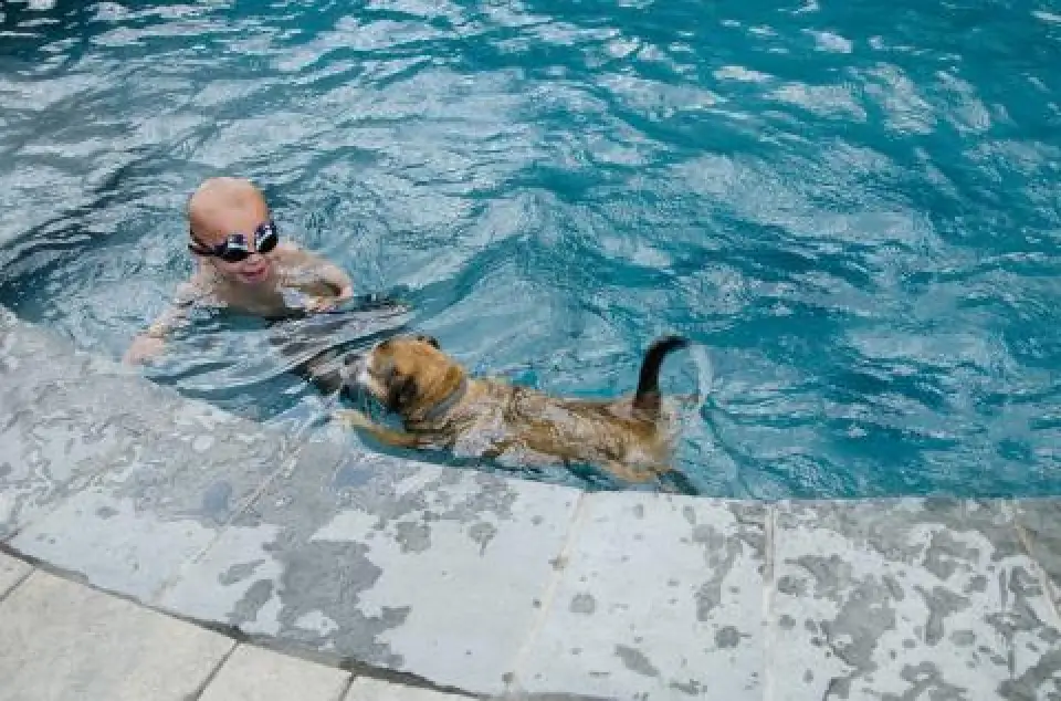 A child in goggles and a brown dog swim together in a blue-tiled pool near the edge.