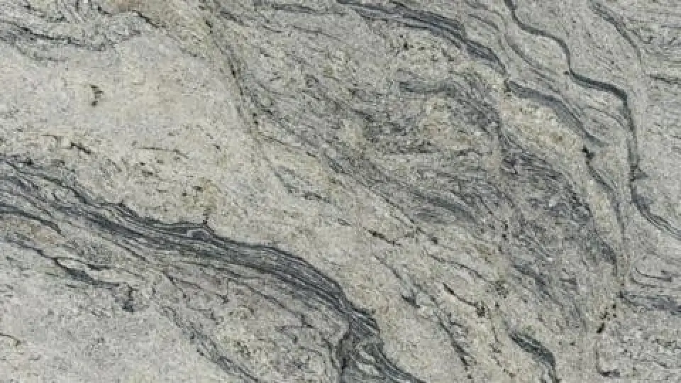 White Piracema