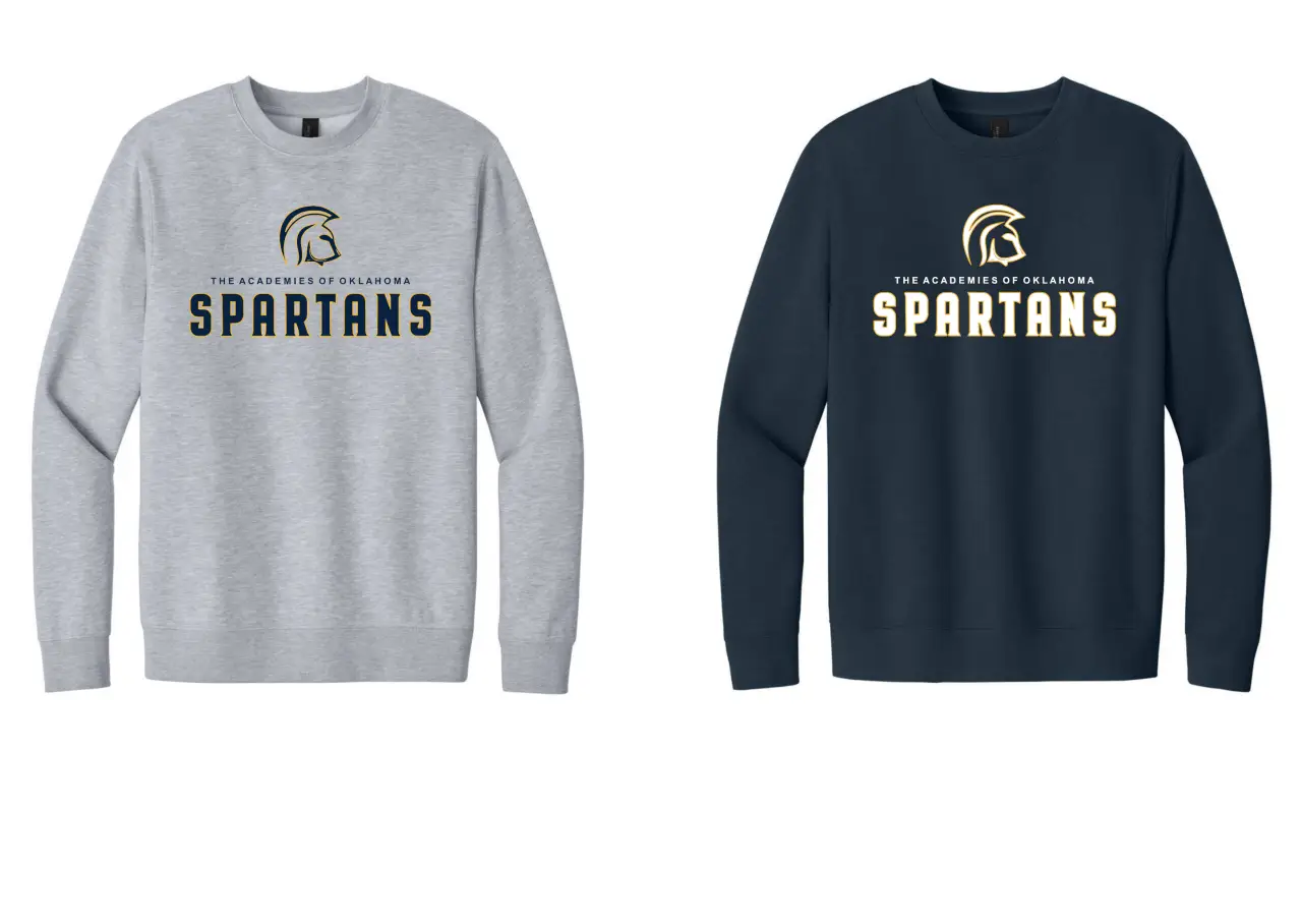DT6104-District VIT Spartans Sweatshirt