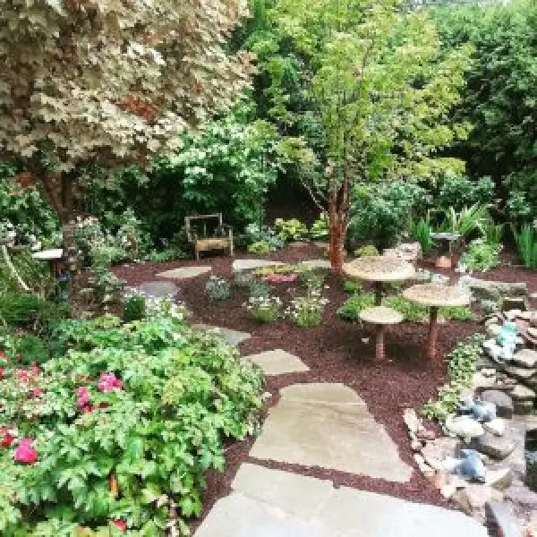 mulch in backyard landscape adds contrast