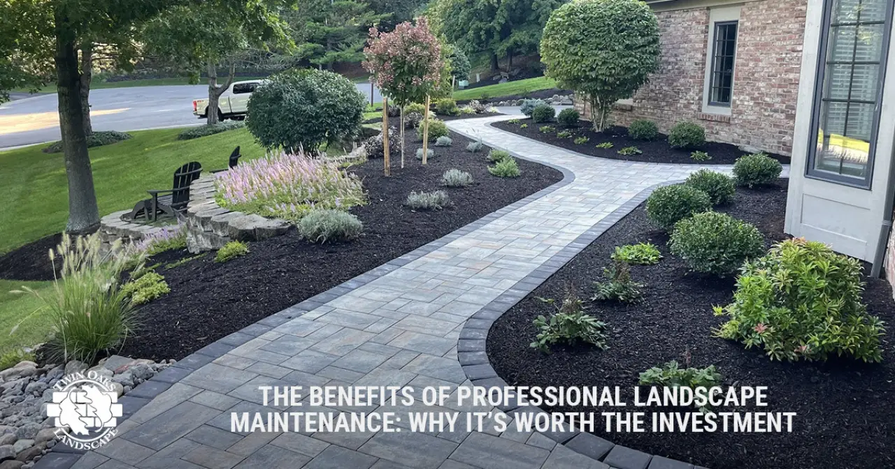 The Benefits of Professional Landscape Maintenance: Why It’s Worth the Investment