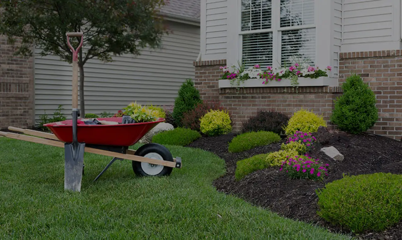 red wheelbarrow with landscape tools in front of mulched bed