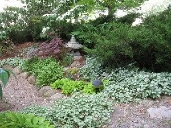 exterior yard with pagoda