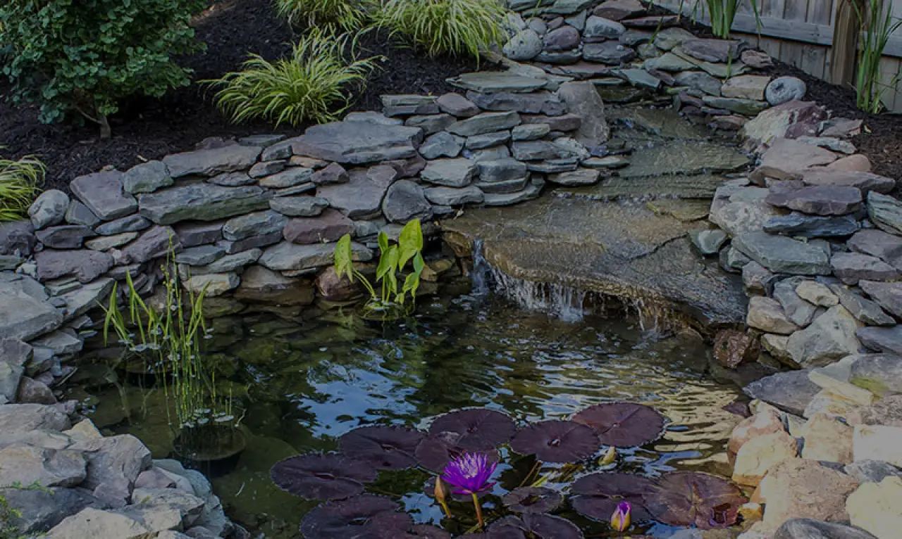 stonework pond in backyard specialty landscaping