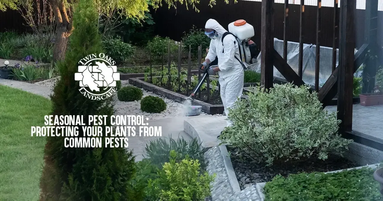 Seasonal Pest Control: Protecting Your Plants from Common Pests