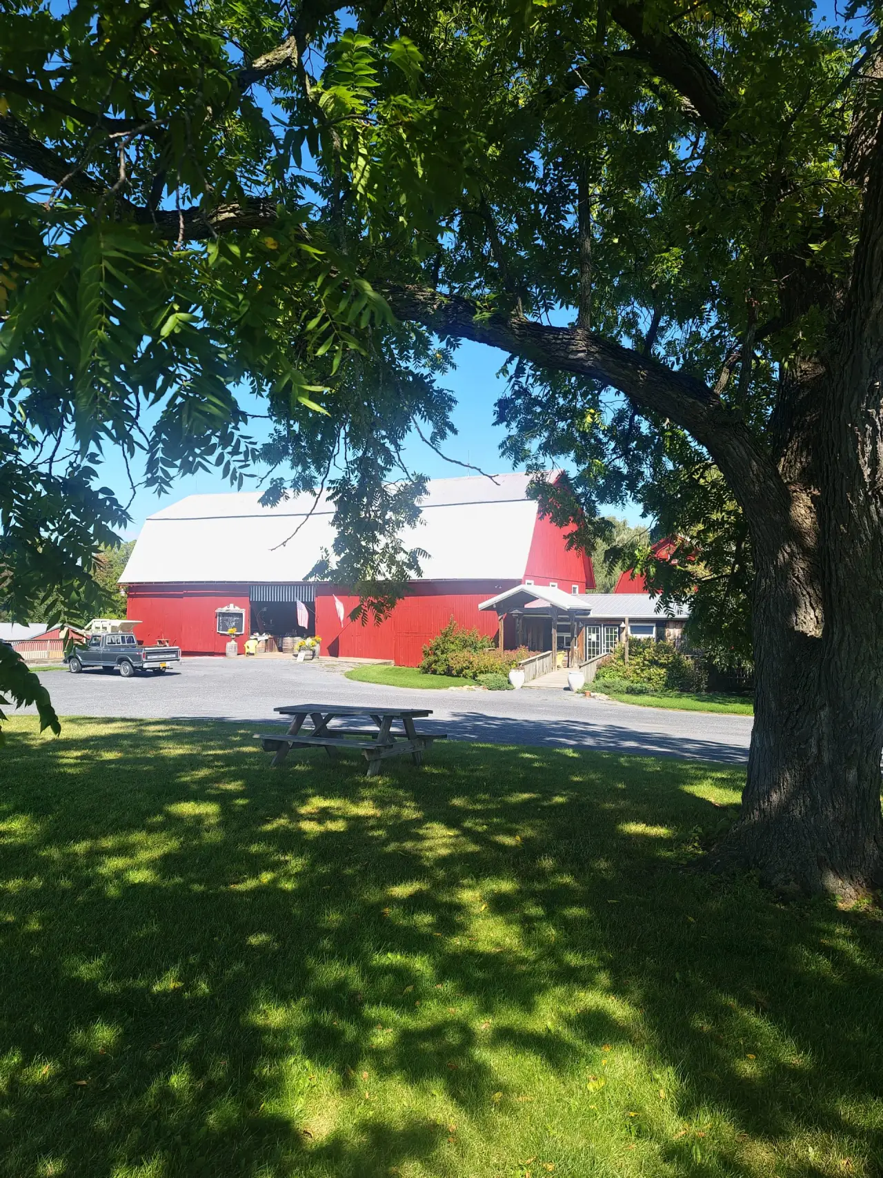 The lawn and picnic area beside the red barn, seen through shade trees