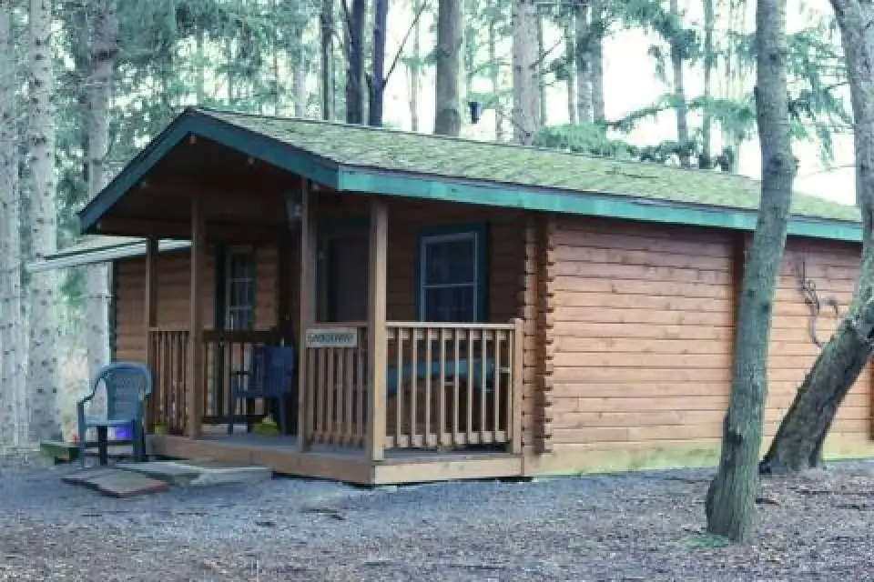 Small wooden cabin with a porch and chairs, surrounded by trees in a forested area.