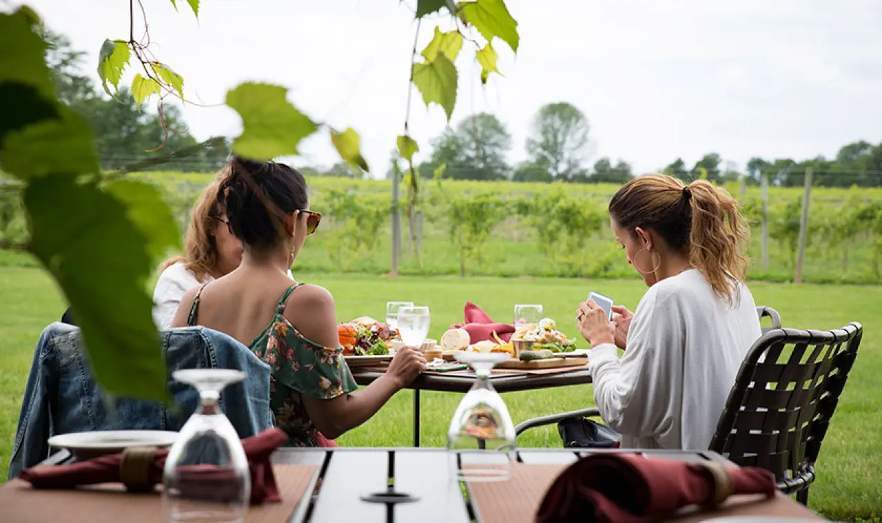 people dining at an outdoor table with a vineyard in the background