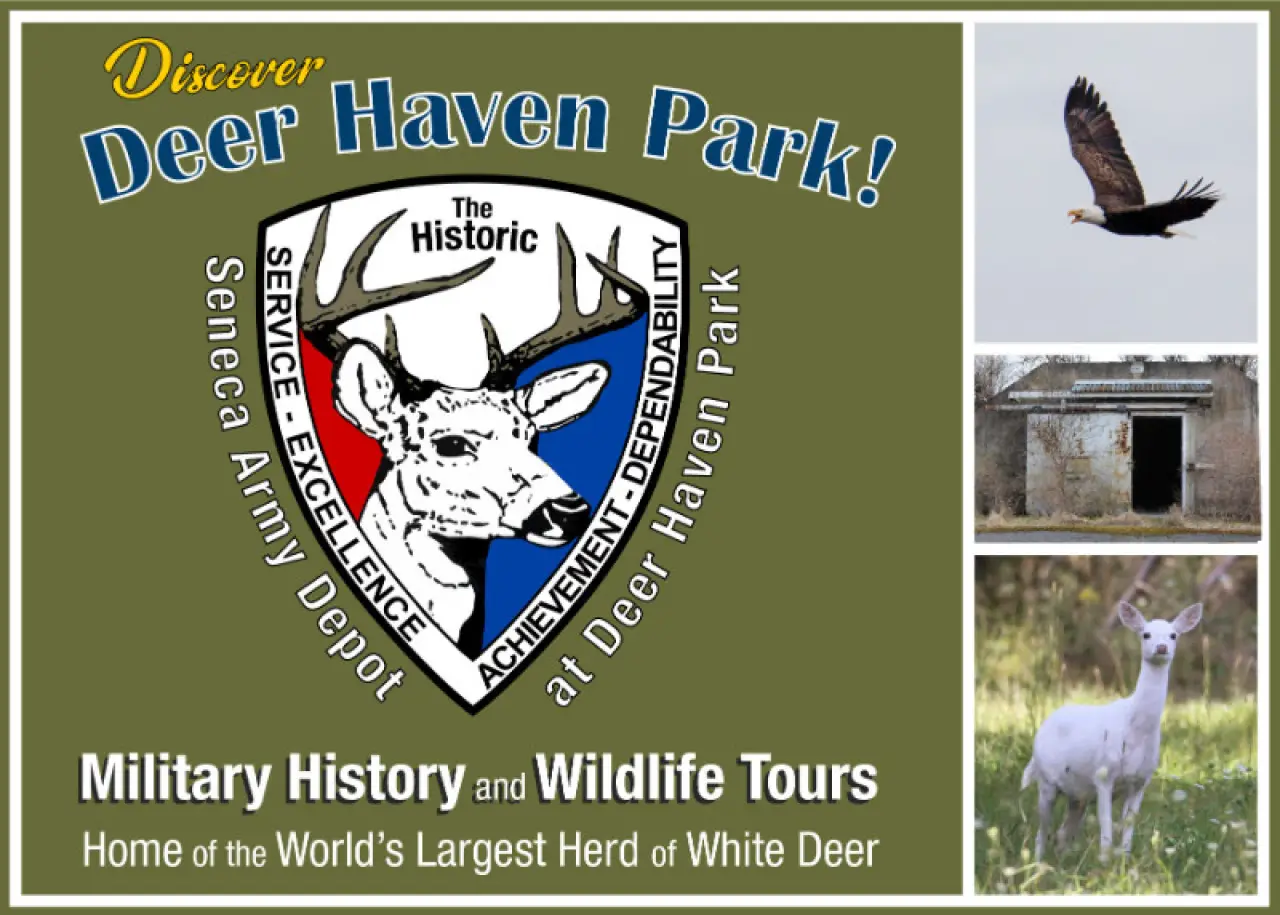 Promotional flyer for Deer Haven Park featuring a white deer, an eagle, and an old building.