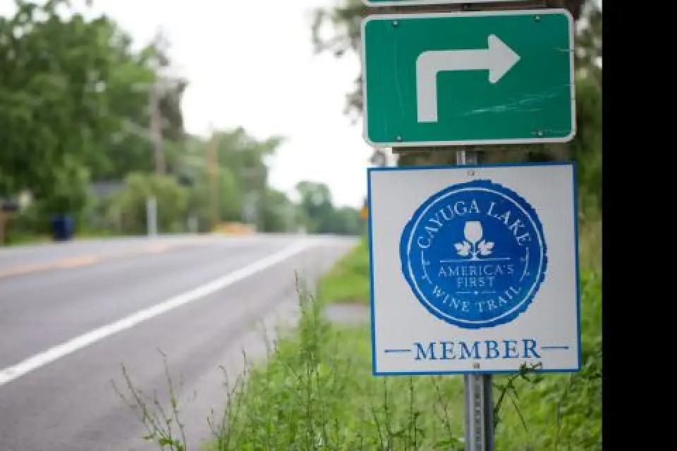 Roadside signs: one for a right turn, one for Cayuga Lake Wine Trail membership.