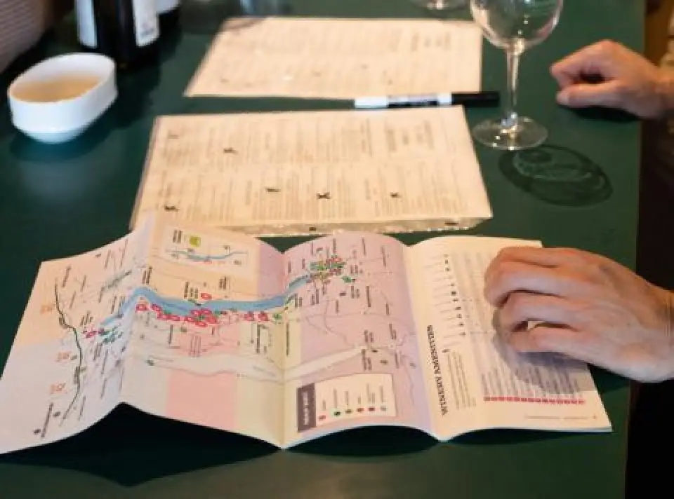 Person holding a map with menus, wine glasses, and bottles on a green table in the background.