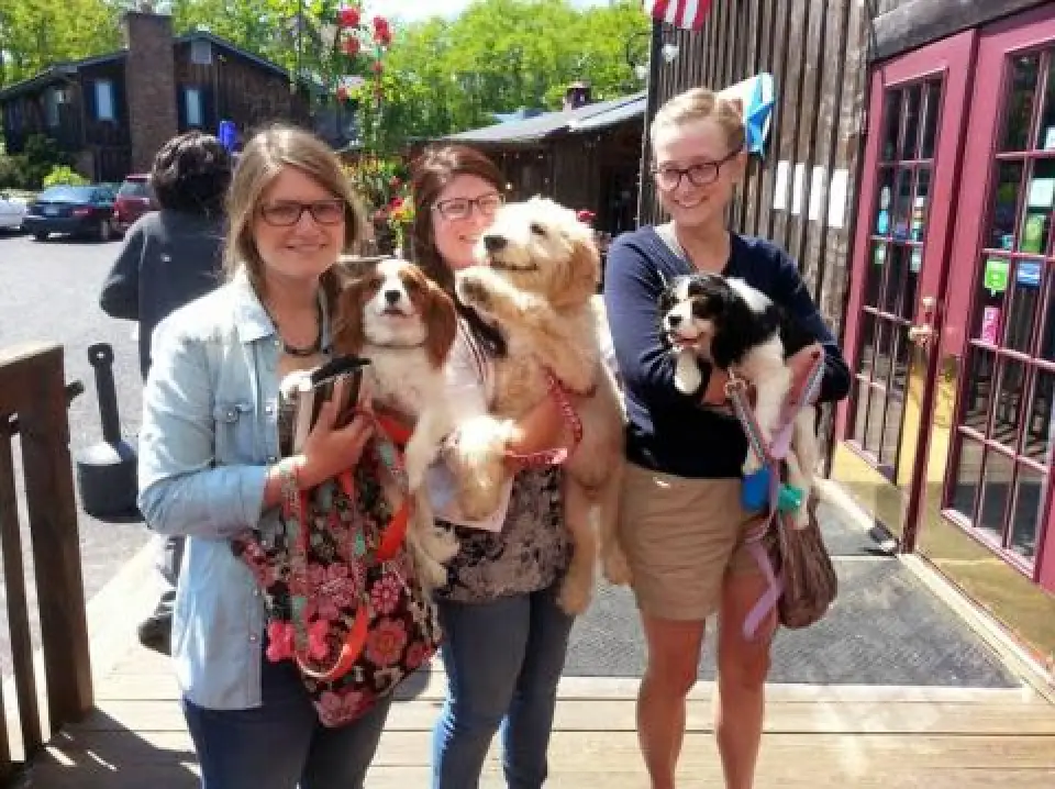Three women outside hold small dogs, smiling in sunlight near a rustic building and greenery.