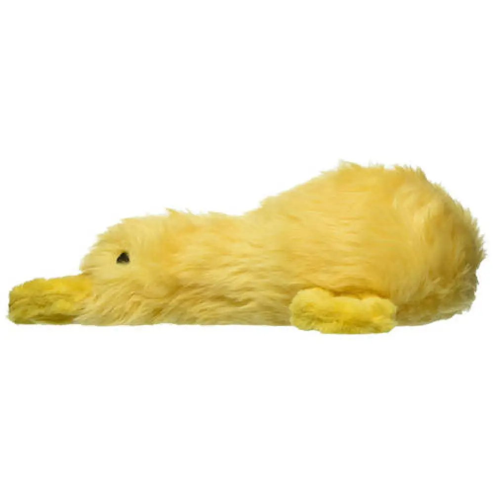 Duckworth Lg