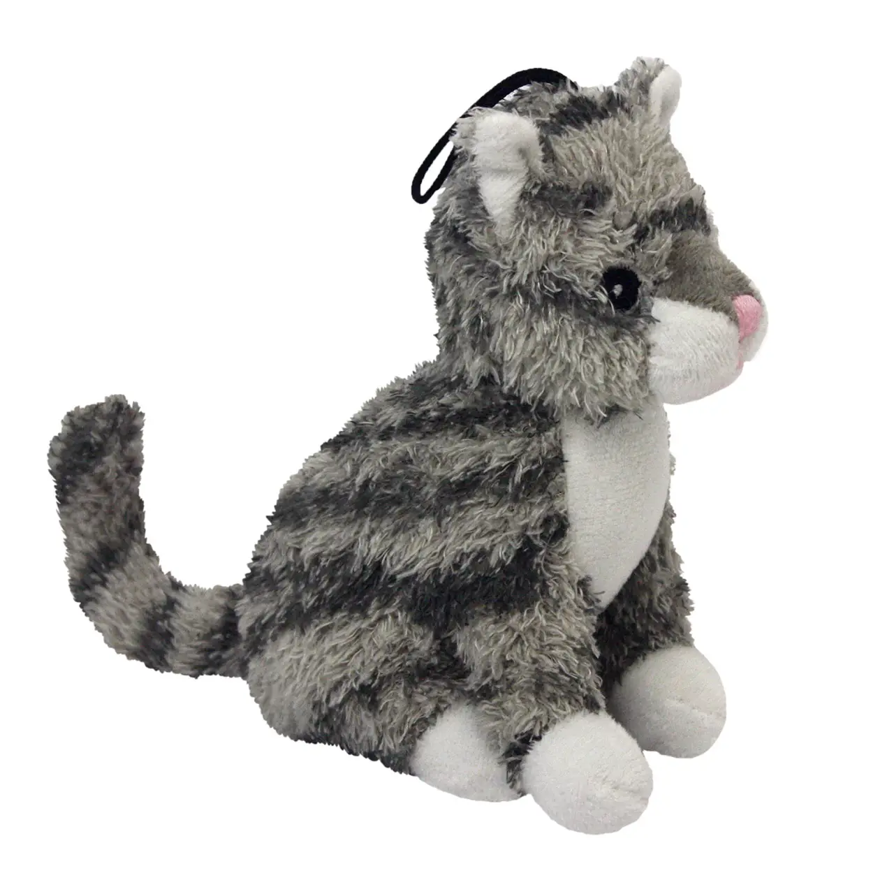 Look who's talking Cat