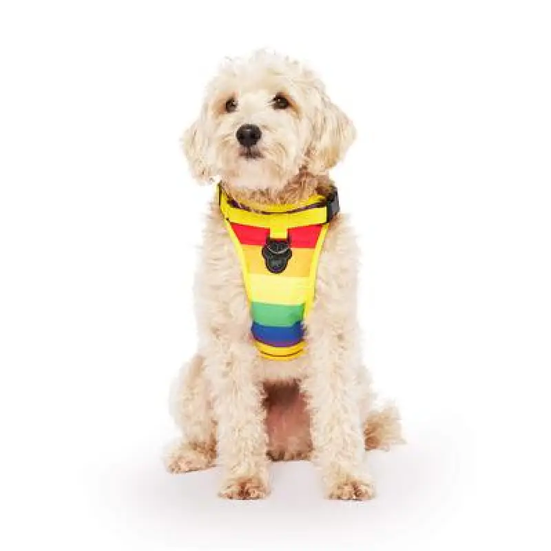 Everything Harness Rainbow Md