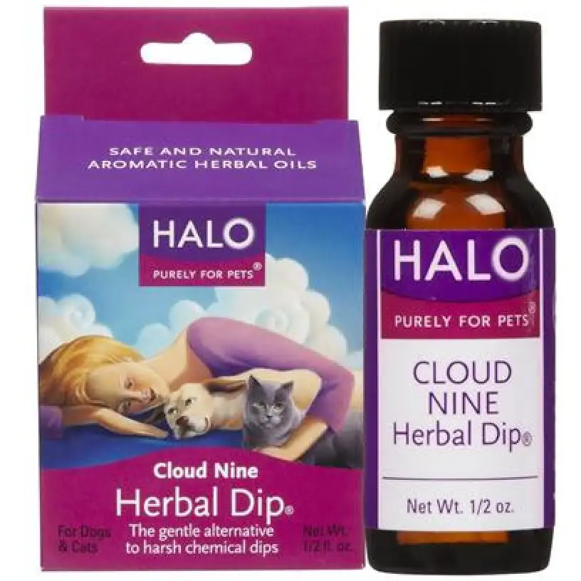 Cloud Nine Herb Dip