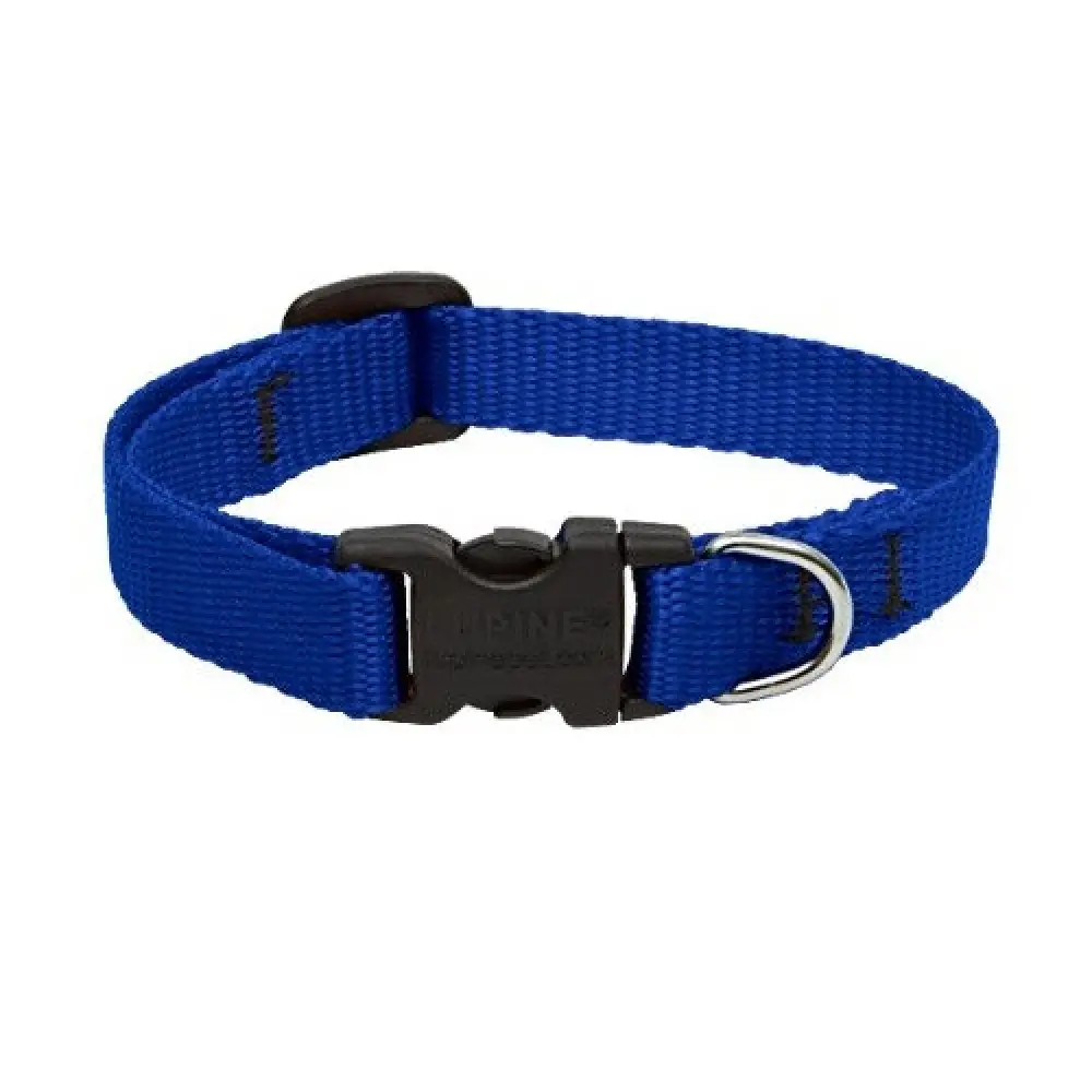 Lupine 8-12 1/2 Adj Blue