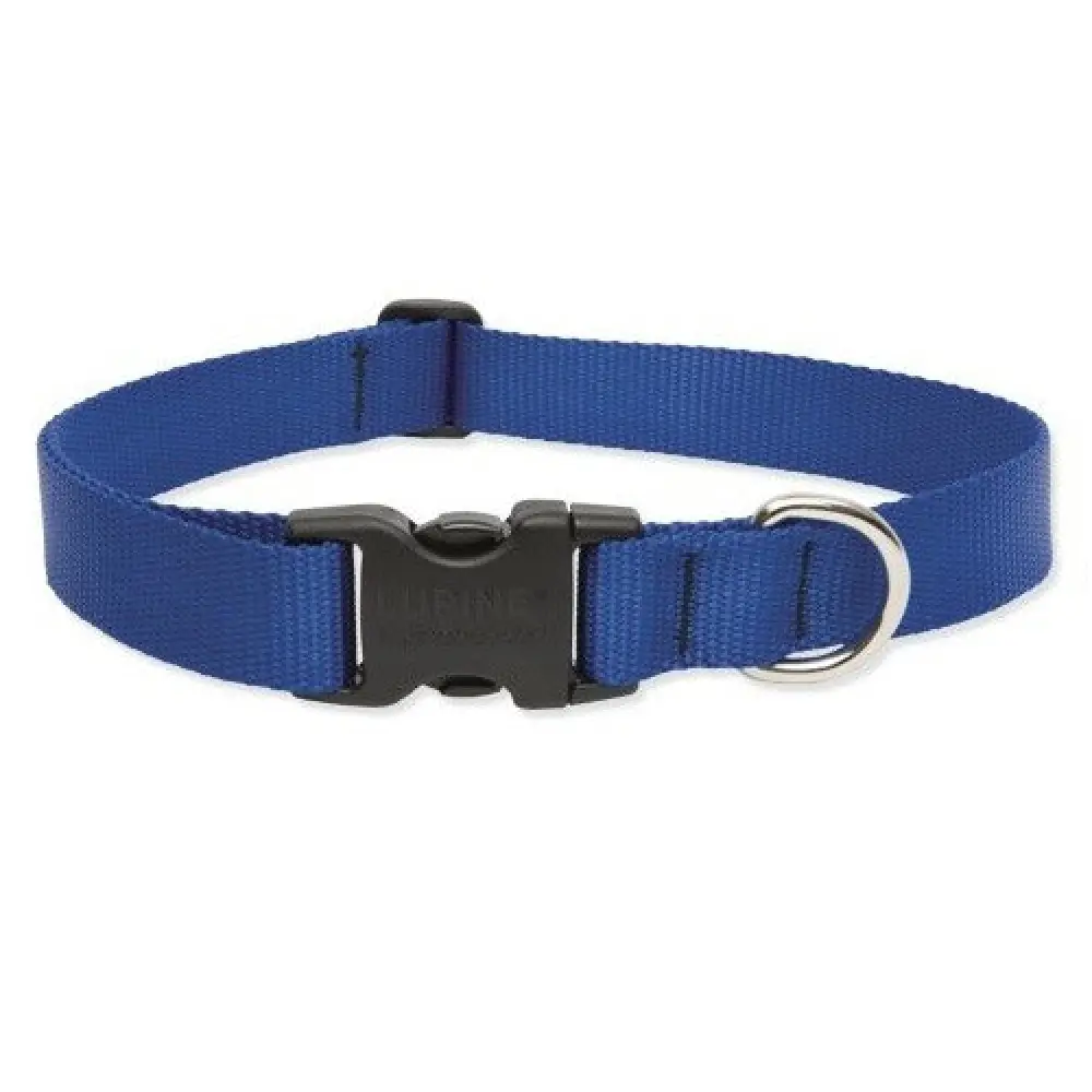 Lupine 1 12-20 Blue Collar