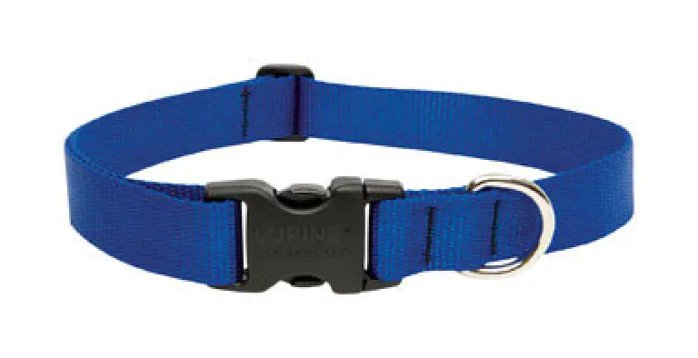 Lupine 1 16-28 Blue Collar
