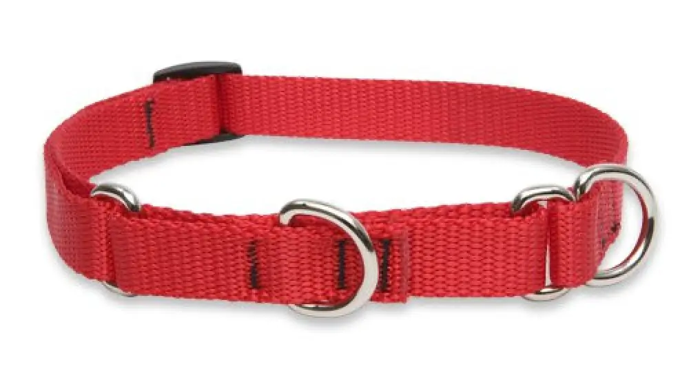 Lupine3/415-25Adj.RedCollar